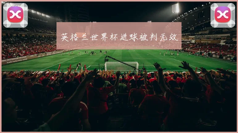 英格兰世界杯进球被判无效
