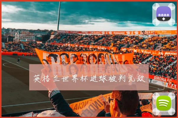 英格兰世界杯进球被判无效