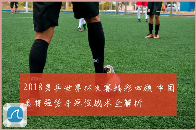 2018男乒世界杯决赛精彩回顾 中国名将强势夺冠技战术全解析